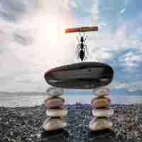 高‍效​排​名﻿策‌略‌服‍务​